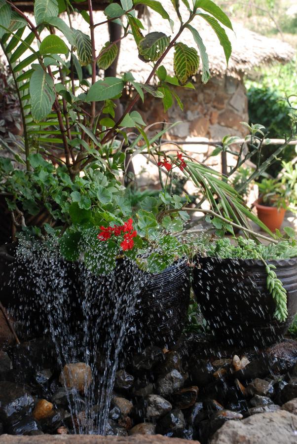 ניירובי Osoita Lodge מראה חיצוני תמונה
