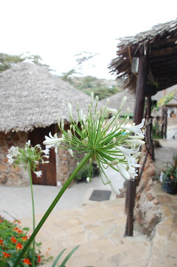 ניירובי Osoita Lodge מראה חיצוני תמונה